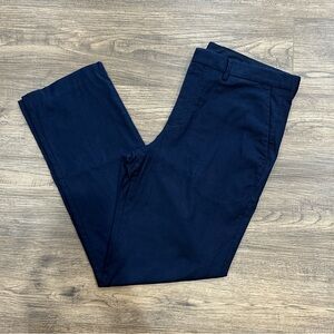 express | dress pants